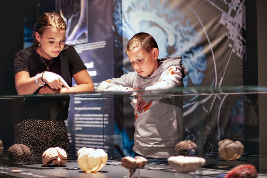 Body Worlds Amsterdam: The Happiness Project Skip-the-Line Tickets at Damrak 66, 1012 LM Amsterdam, Netherlands