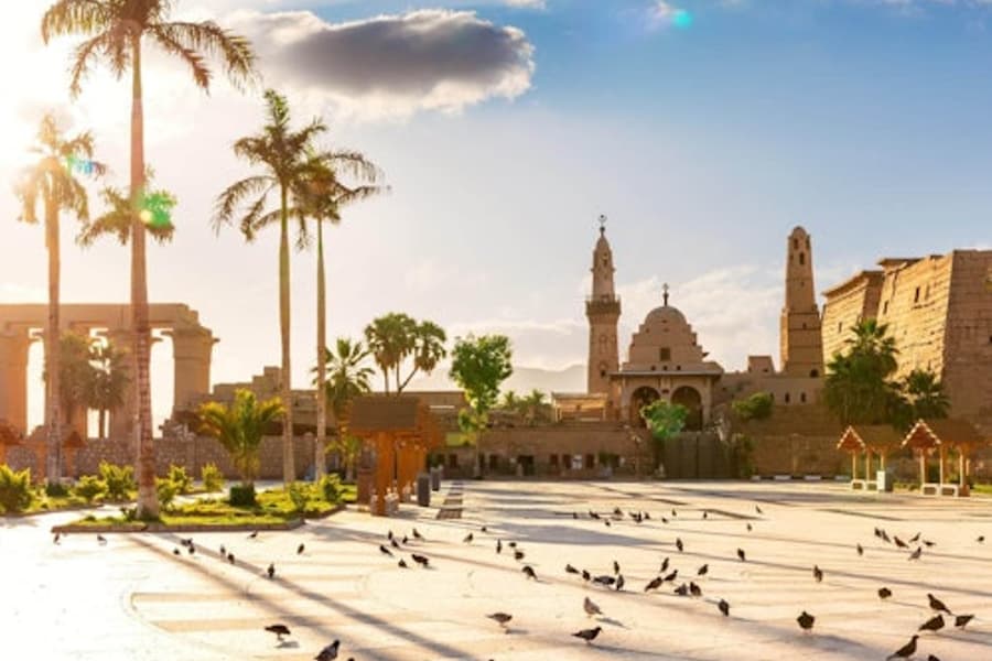 لکسور: مشرقی اور مغربی کنارے کا رہنمائی دورہ + واپسی کی منتقلی, Luxor