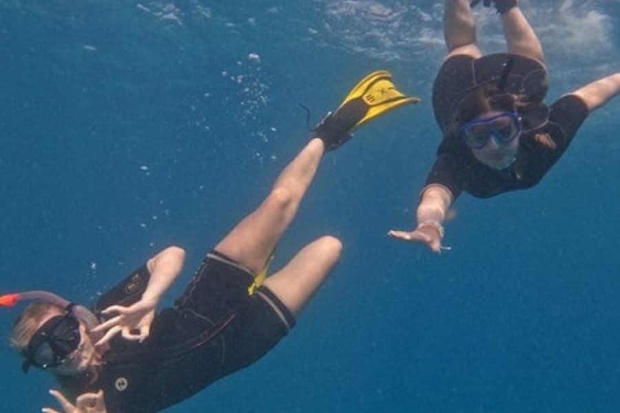 Tenerife: Guided Snorkeling Experience tickets