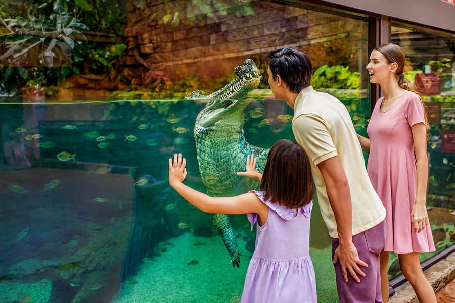 River Wonders Tickets, at River Wonders