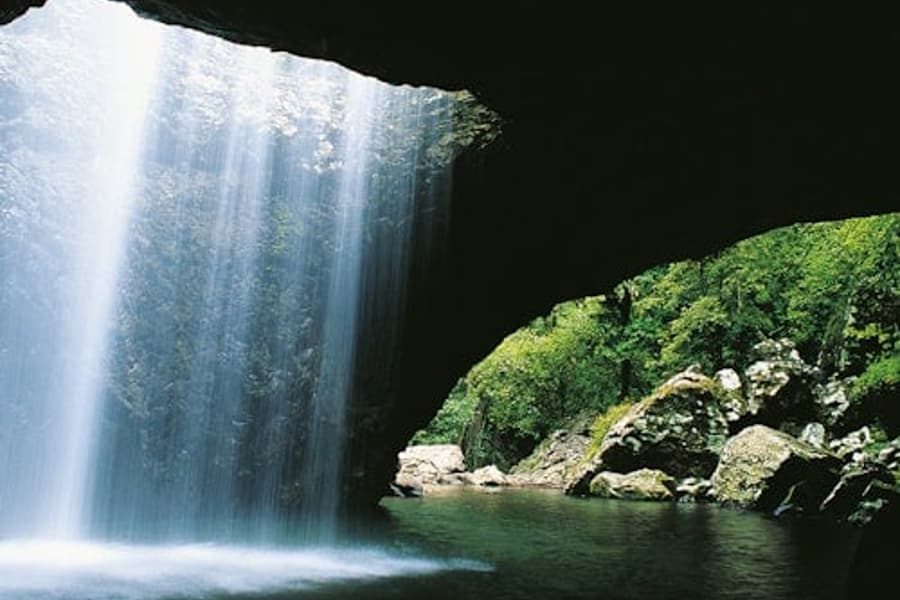 Tour das Cataratas de Natural Bridge & Springbrook saindo de Gold Coast, at Day Trips from Gold Coast, Natural Bridge