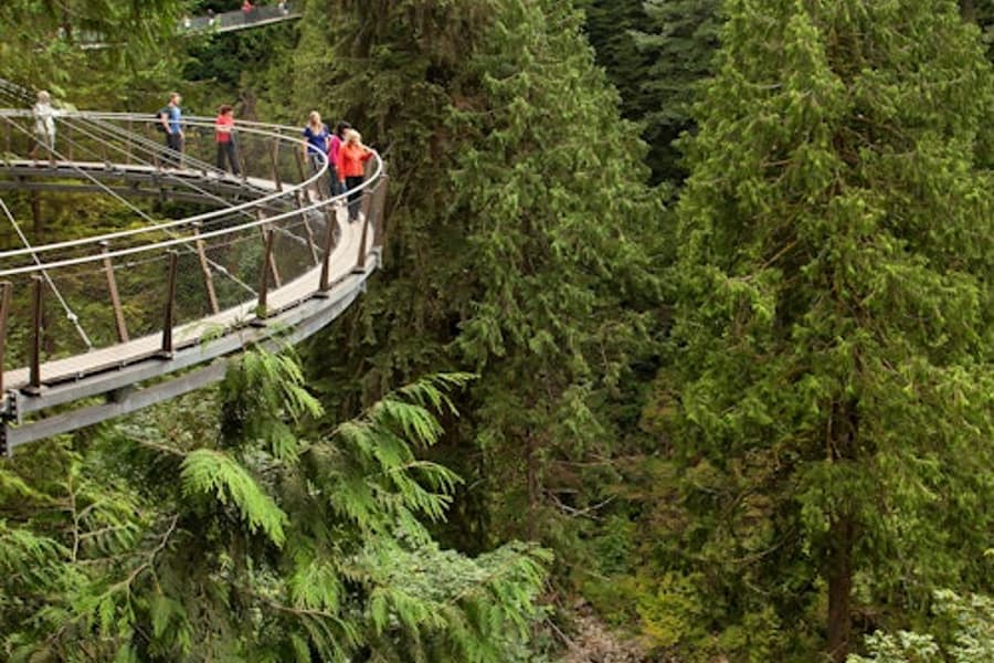 Vancouver: Guided Tour + Capilano Suspension Bridge Park Visit + Lunch