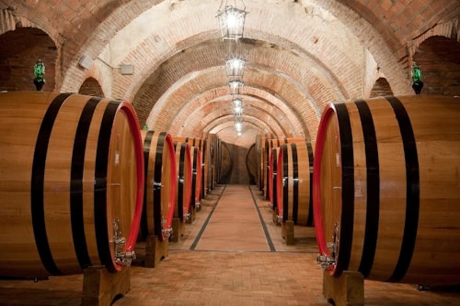 モンテプルチャーノ: ブドウ園ガイドツアー + ワインテイスティング, at Tuscany Wine Tasting, Montalcino