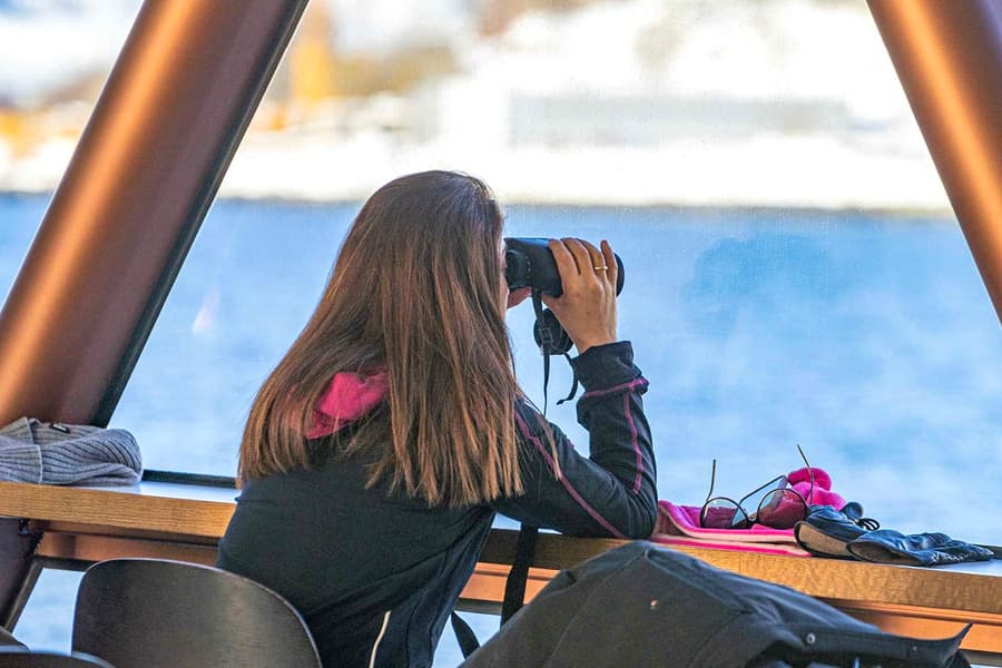 From Tromso: Arctic Fjord Cruise & Wildlife Tour, Tromso