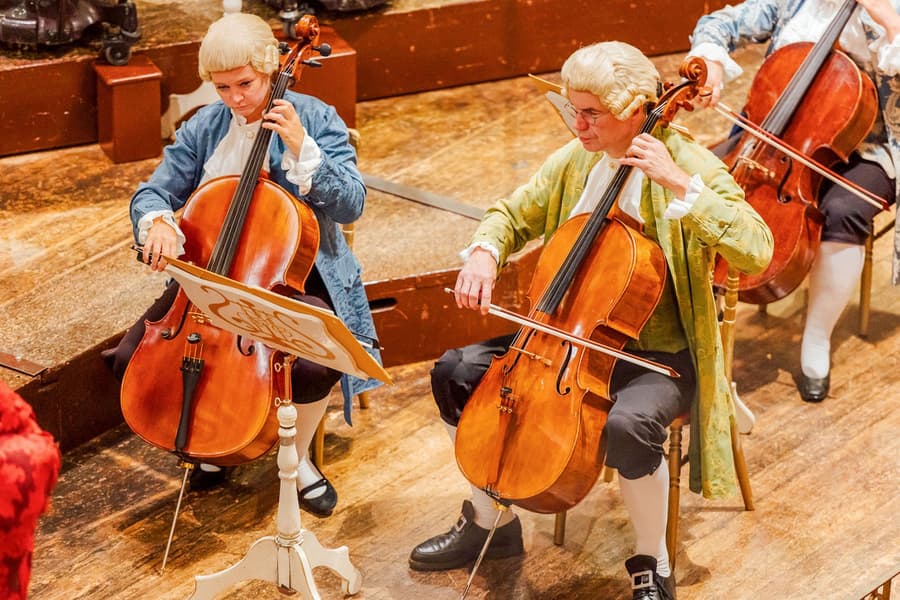 Music Society Vienna (Musikverein): Mozart Orchestra Concert & 3 Course Dinner, at 1870 - Restaurant Terrace Lounge