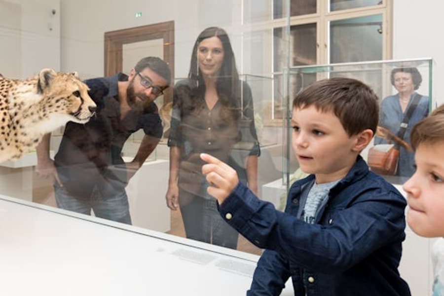 Natural History Museum Graz - Joanneumsviertel, Graz