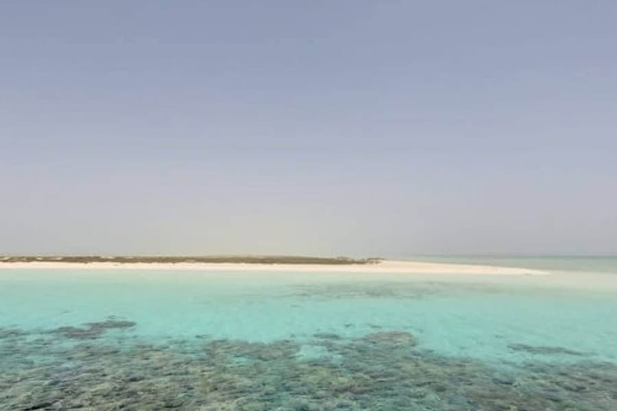 ฮามาตา: ดำน้ำตื้น + บริการรับส่งไปกลับ + อาหารกลางวัน, at Hamata Water Activities, Hamata