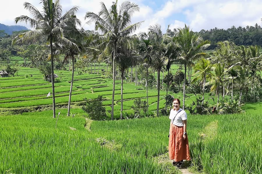 Private Bali Ubud Tour: Tirta Empul, Rice Terrace & Swing, Bali