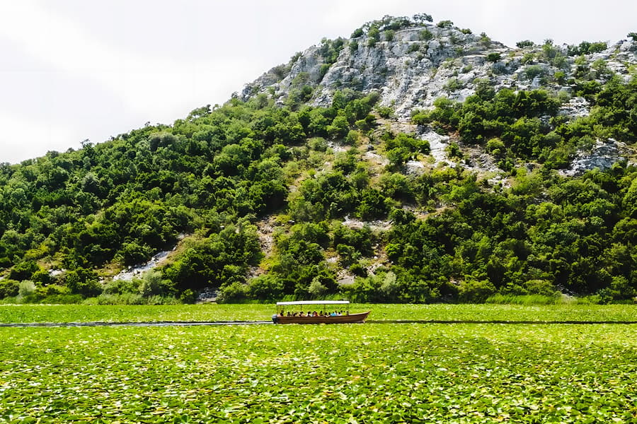 From Virpazar: Lake Skadar Sightseeing Boat Tour & Kom Monastery with Drinks
, Kotor