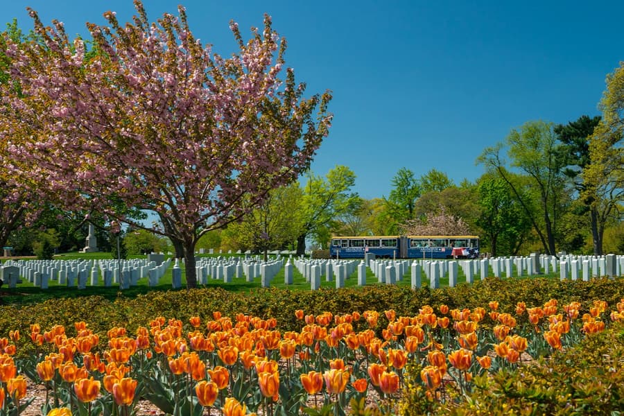 Arlington National Cemetery Tour, Washington DC