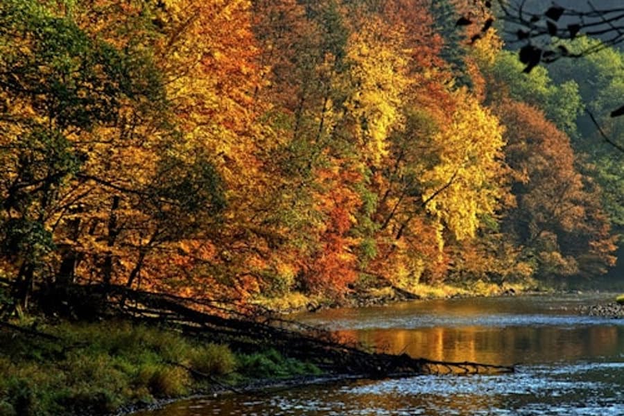 Krakow: Dunajec River Rafting Tour, Roundtrip Transfer + Lunch