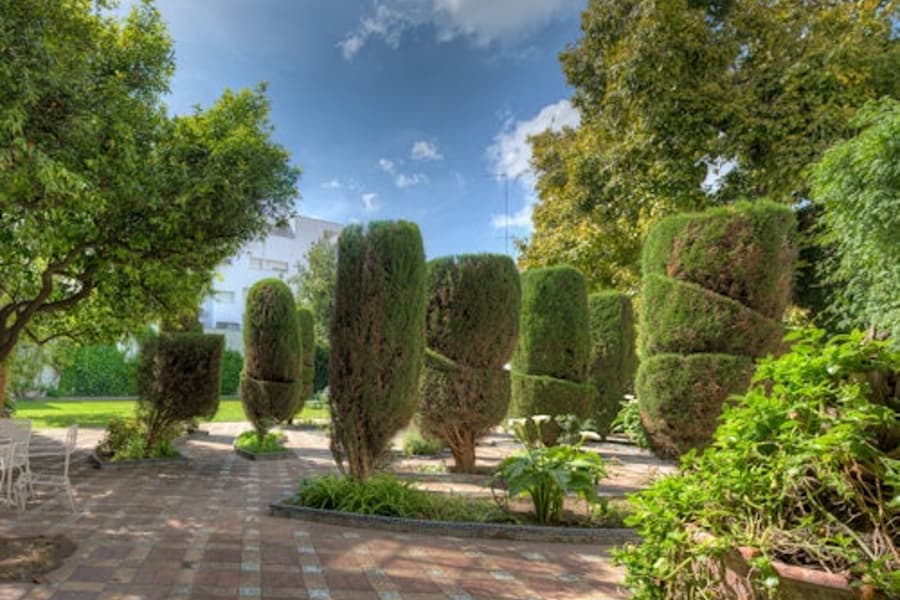 Virrey Laserna Palace: Guided Tour, Jerez De La Frontera