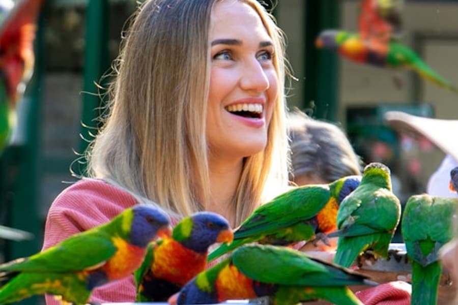 Tiket ke Bonorong Wildlife Sanctuary, at Currumbin Wildlife Sanctuary, Currumbin