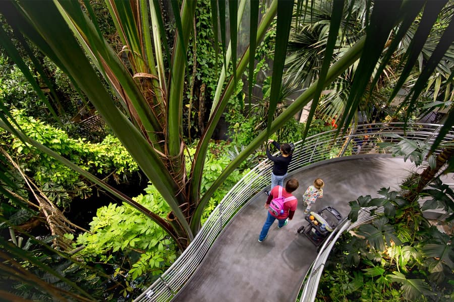 California Academy of Sciences Tickets, San Francisco