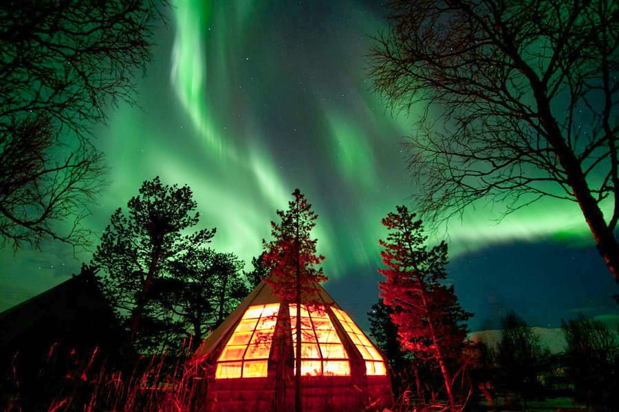 Tromso: Northern Lights & Husky Visit with Traditional Dinner, Tromso