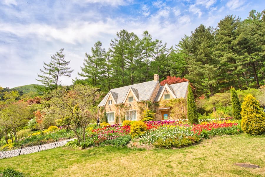 Nami Island Nature Exploration Day Tour with Garden of Morning Calm , Seoul
