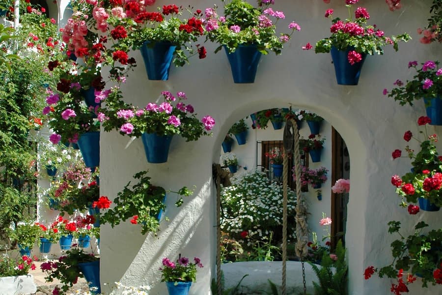 Authentic Patios of Cordoba Skip-the-Line Guided Tour, Cordoba