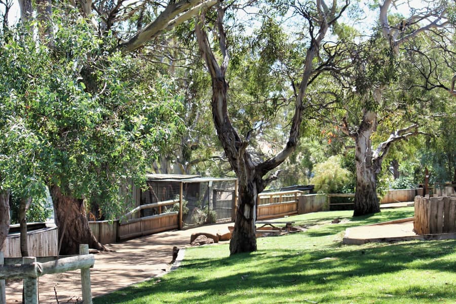 Bonorong Wildlife Sanctuary Tickets, Hobart