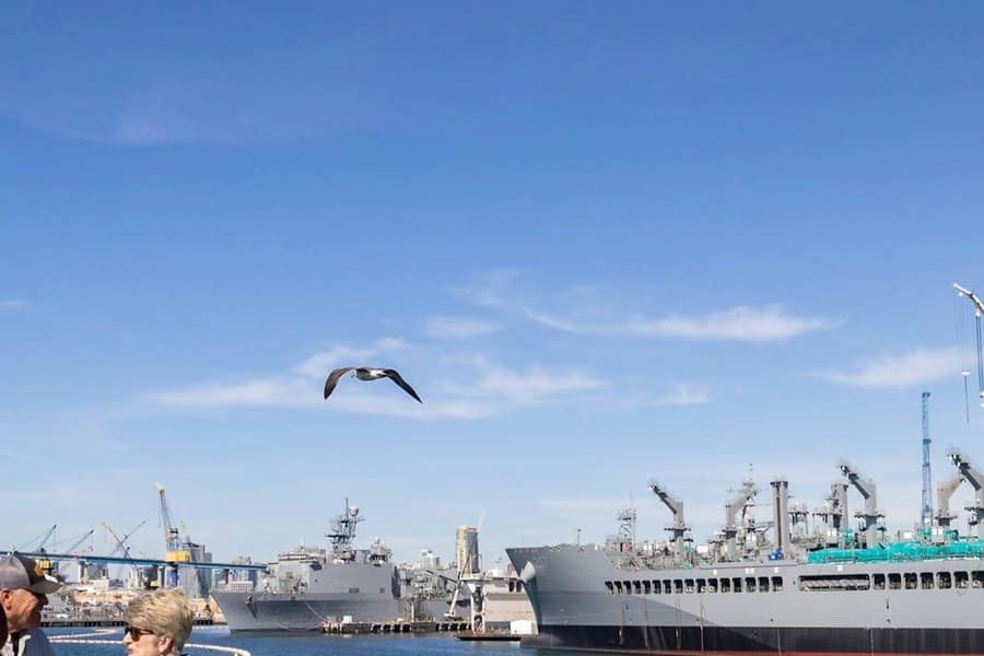 San Diego Harbor: 2-Hour Cruise with Live Guide, at San Diego Sightseeing Cruises, San Diego