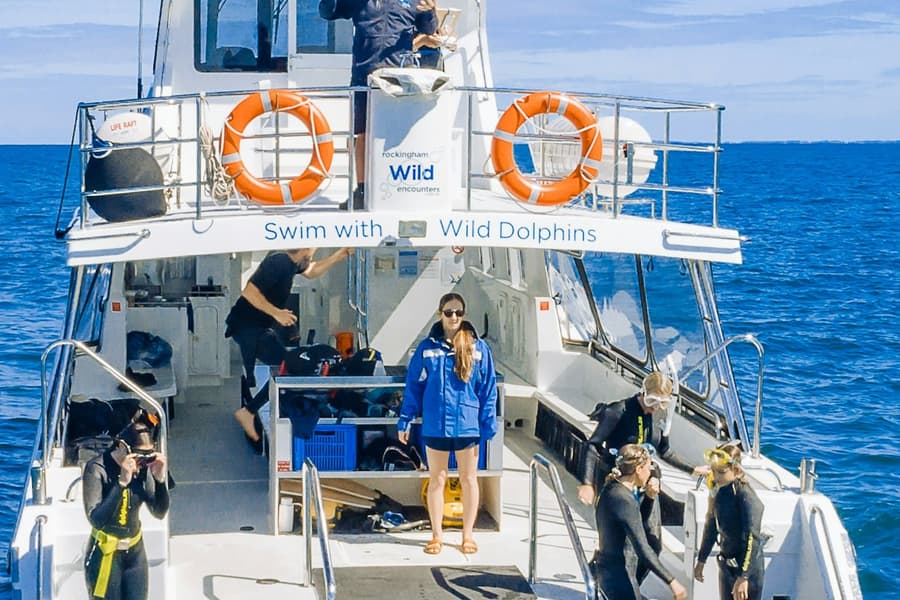 Perth: Guided Cruise + Swim with Wild Dolphins + Lunch, at Perth Cruises