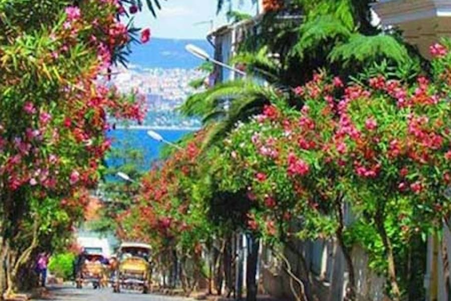 Istanbul: Prince's Island Tour + Lunch and 2 Islands, at Istanbul City Tours, Istanbul