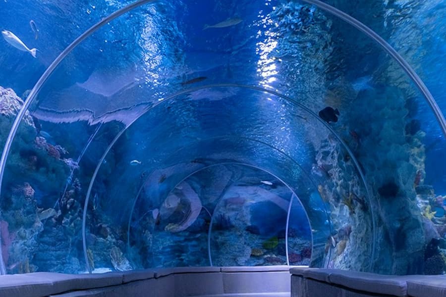 Istanbul: Emaar Aquarium & Underwater Zoo Entry Ticket, at Emaar Aquarium
