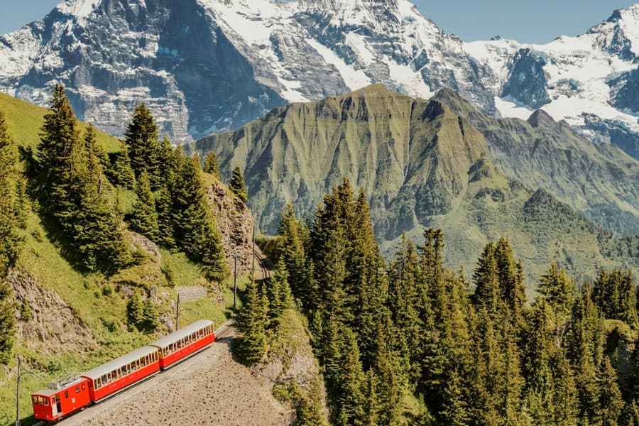 Schynige Platte: Roundtrip Rack Railroad From Wilderswil, at Day Trips from Interlaken
