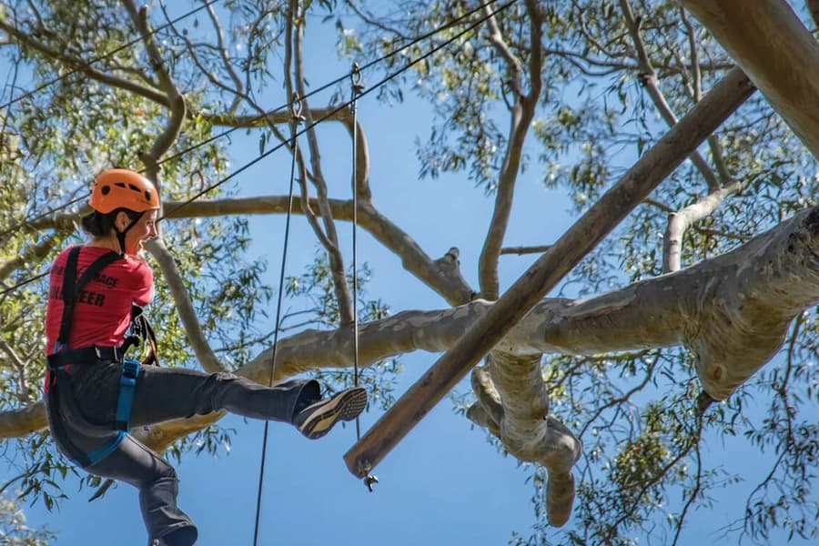 Western Sydney: Treetops Adventure tickets at Treetops Adventure Western Sydney