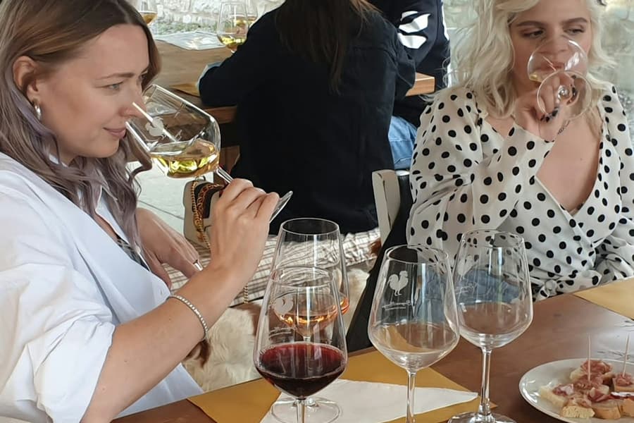 Florence: Wine Tastings + Minivan Tour tickets