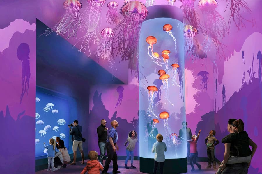 SeaWorld San Diego Any-Day Tickets, at SeaWorld San Diego, San Diego
