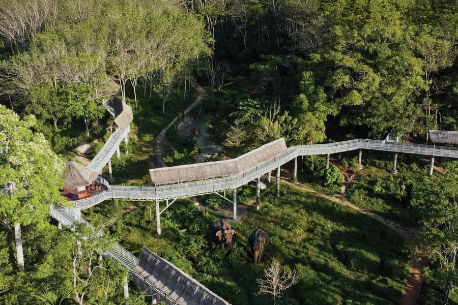 Phuket Elephant Sanctuary: Guided Canopy Walkway Tour + Unlimited Snacks tickets at Elephant Sanctuaries in Phuket