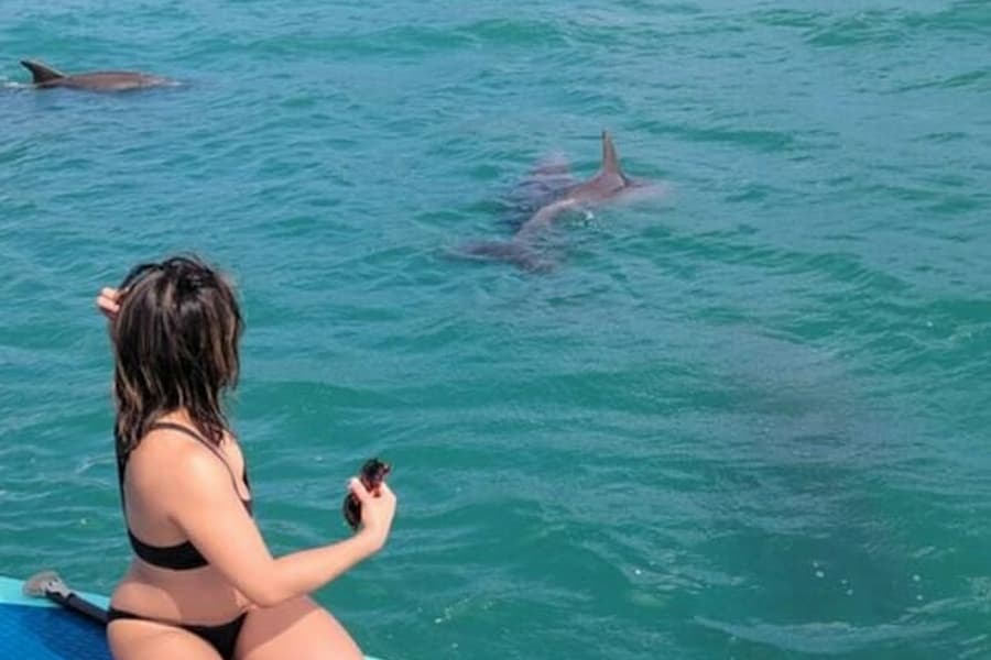 Miami: Nature & Island Exploration on SUP/Kayak, at Miami Water Activities