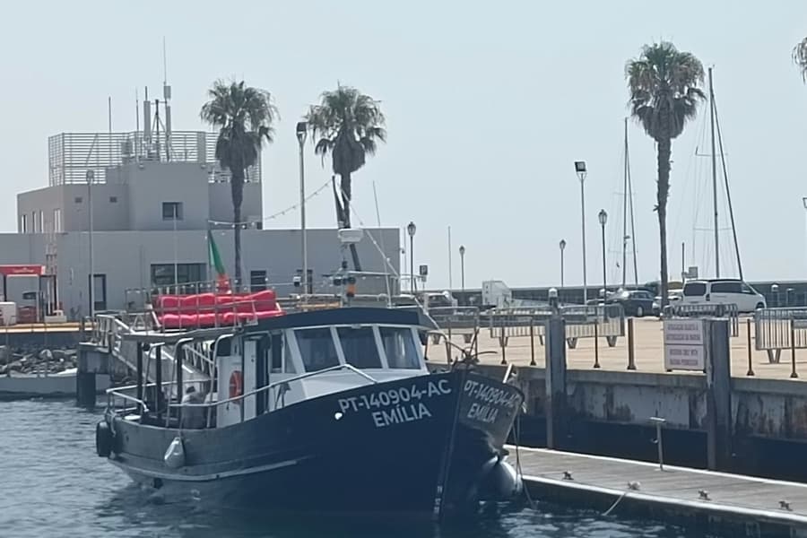 Cascais: Guided Coastal Cruise + Drinks, at Lisbon Cruises