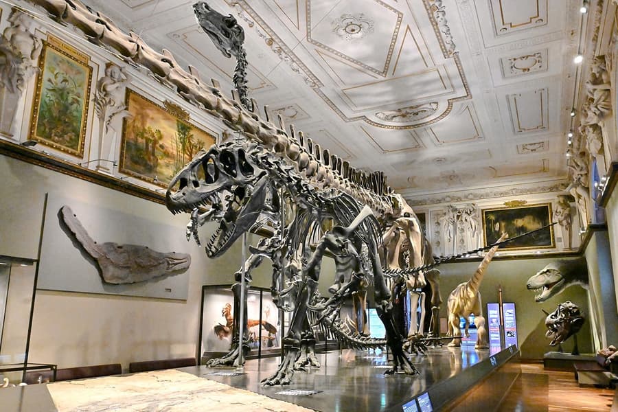 Entrades per al Museu d'Història Natural de Viena, at Natural History Museum Vienna, Vienna