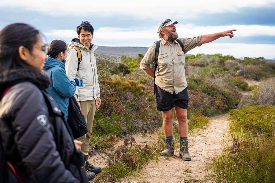 From Hobart: Bruny Island Full-Day Guided Tour + Nature Walk & Gourmet Tastings, Hobart