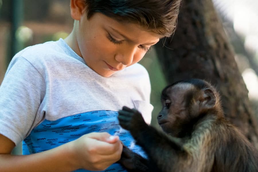 ATV Monkey Jungle Tour, at Akumal Monkey Sanctuary & Rescued Animals, Tulum