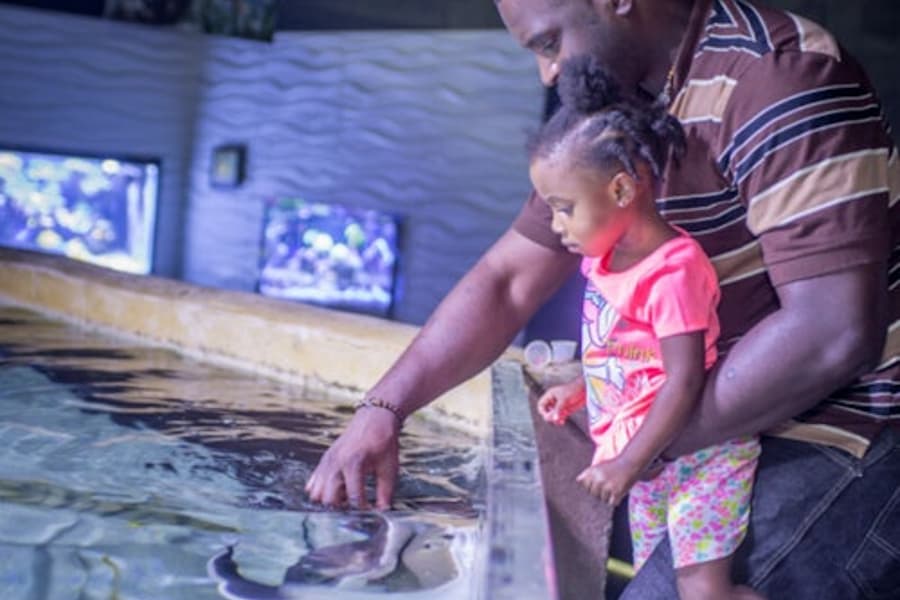 San Antonio Aquarium: Entry Ticket, San Antonio