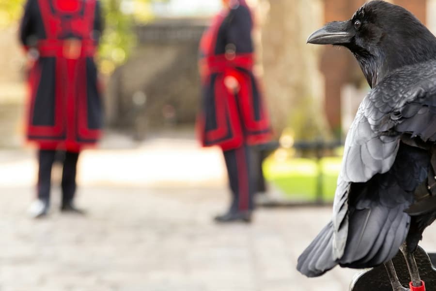 Tower of London: Guided Tour with a Beefeater tickets at Tower of London