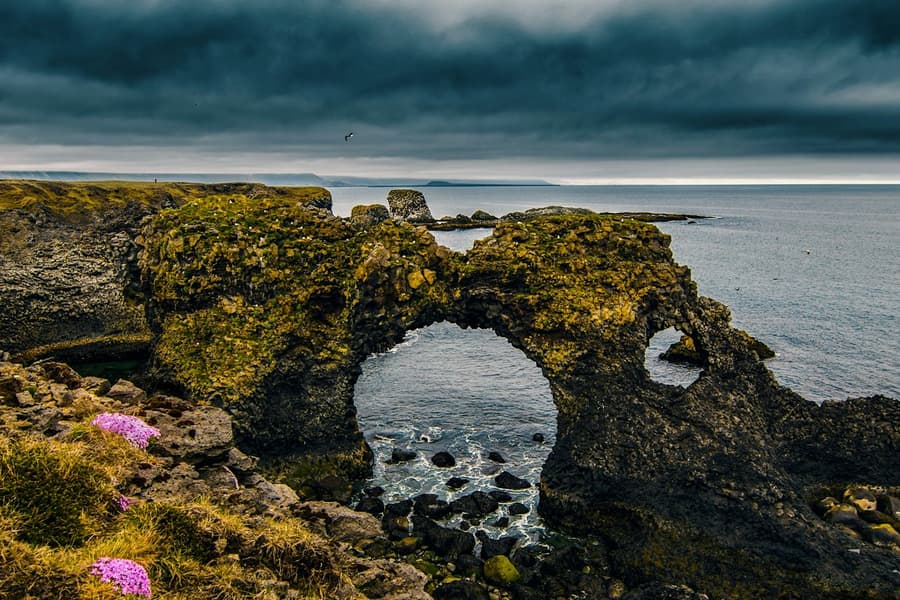 Snæfellsnes: Black Beach Day Trip + Dinner tickets at Day Trips from Reykjavik