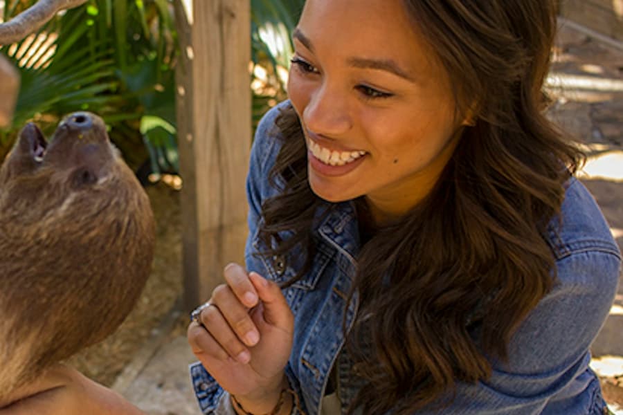 Wild Florida Gator Park Admission tickets