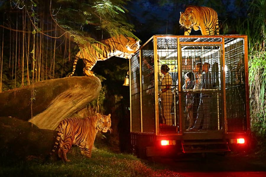 Bali Safari & Marine Park: Night Safari, at Bali Safari & Marine Park, Serongga