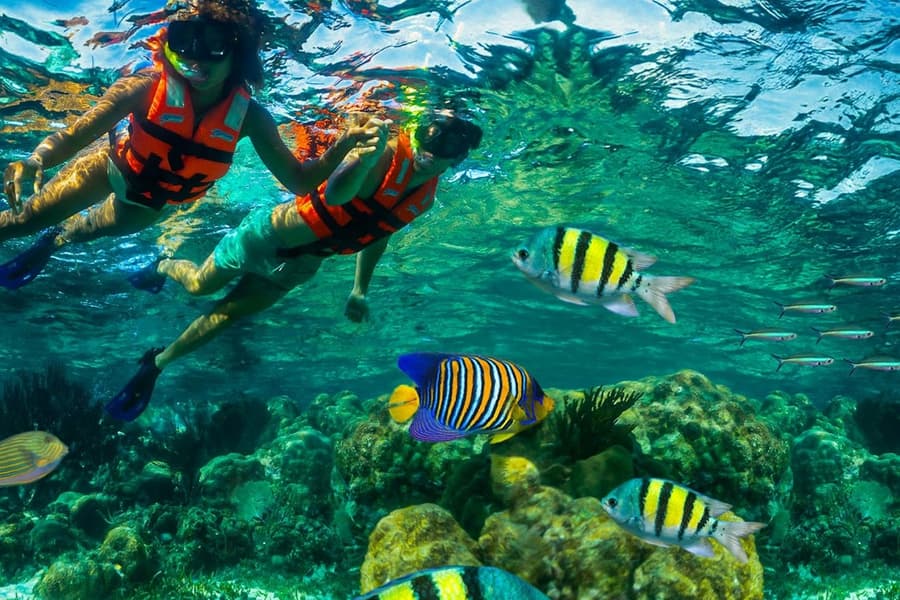 Puerto Morelos Reef: Snorkeling Adventure with Beachside Lunch, at Cancún Boat and Water Activities, Isla Mujeres
