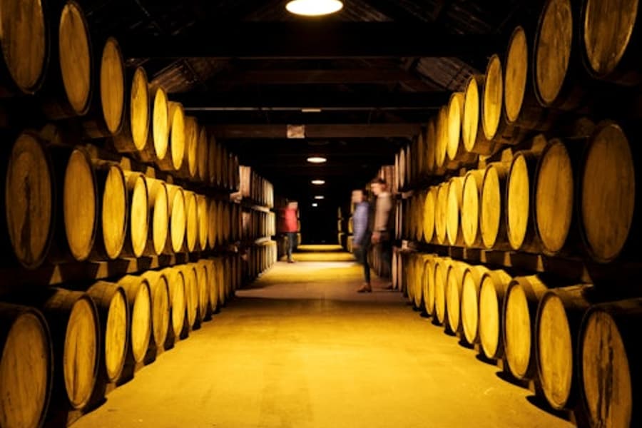 Penyulingan Midleton (Jameson): Lawatan Berpandu di Belakang Tabir, at Midleton Distillery, Cork