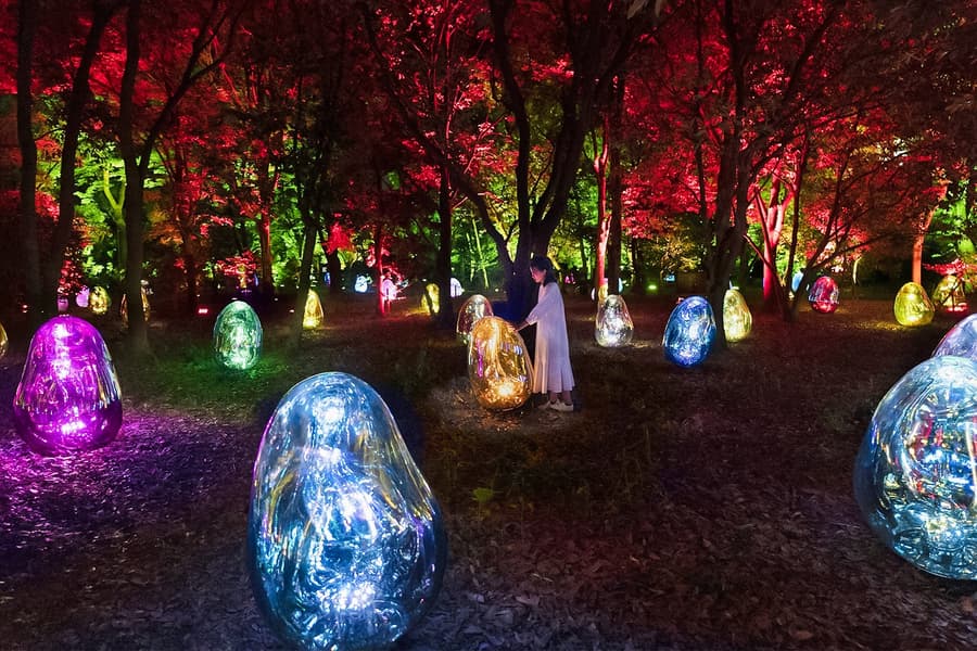 Tickets to teamLab Botanical Garden in Osaka at teamLab Botanical Garden