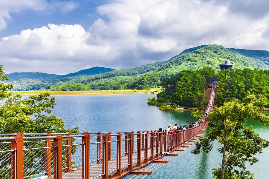 DMZ Full-Day Tour with Suspension Bridge Visit, Seoul