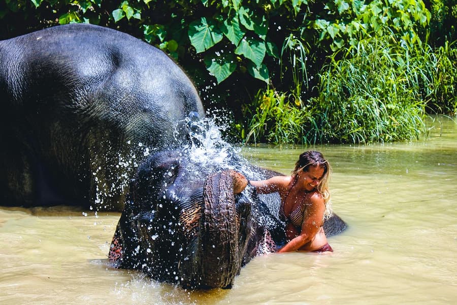 Ao Nang Elephant Sanctuary Half-Day Guided Tour with Hotel Transfers, Krabi