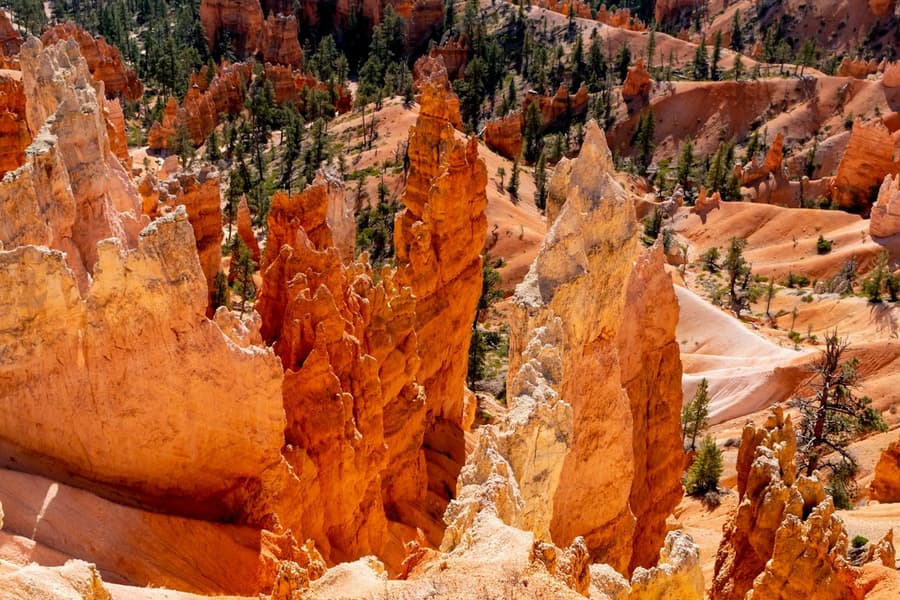 From Las Vegas: Bryce Canyon & Zion National Parks Day Tour with Lunch, at Bryce Canyon National Park, Tropic