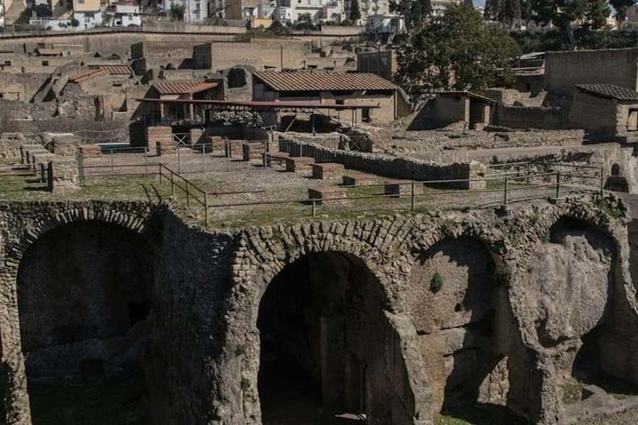 Herculaneum: Entry Ticket, Pompeii and Naples