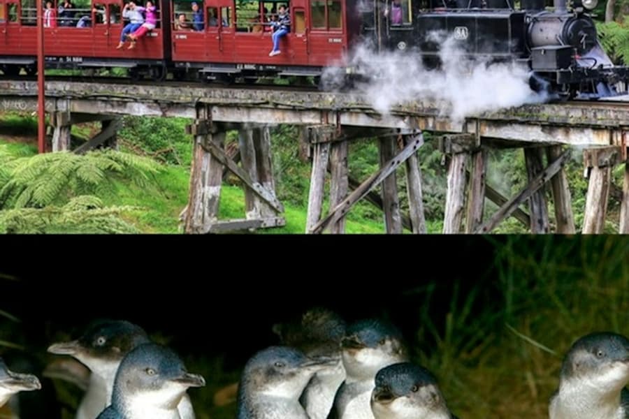 Puffing Billy & Phillip Island Penguin Parade: Bus & Train Tour from Melbourne, at Day Trips from Melbourne