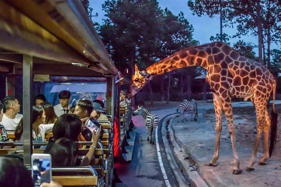 Chiang Mai Night Safari Tickets with Transfers: Non-Thai Residents, at Chiang Mai Night Safari, Chiang Mai